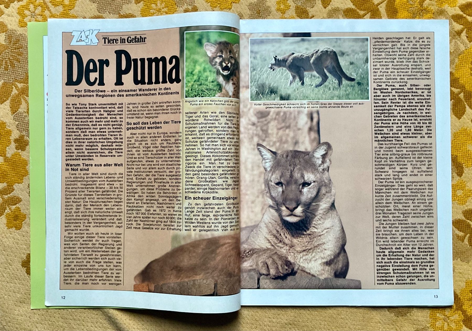 BD: Zack Heft Nr 22 von 1978 – D'occasion à Endingen par nathan05 2