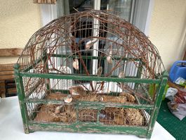Schöner alter Vintage Vogelkäfig
