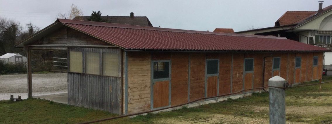 Rifugi: Black Friday Pferde Rosstall Stall – Usato da Deitingen venduto da RK68