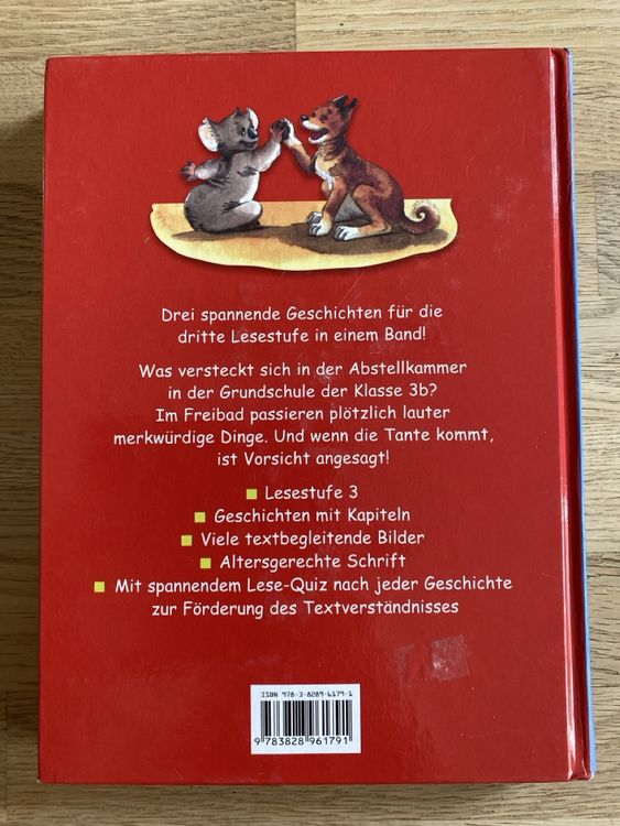 Schmöker-Geschichten - Kinderbuch 2
