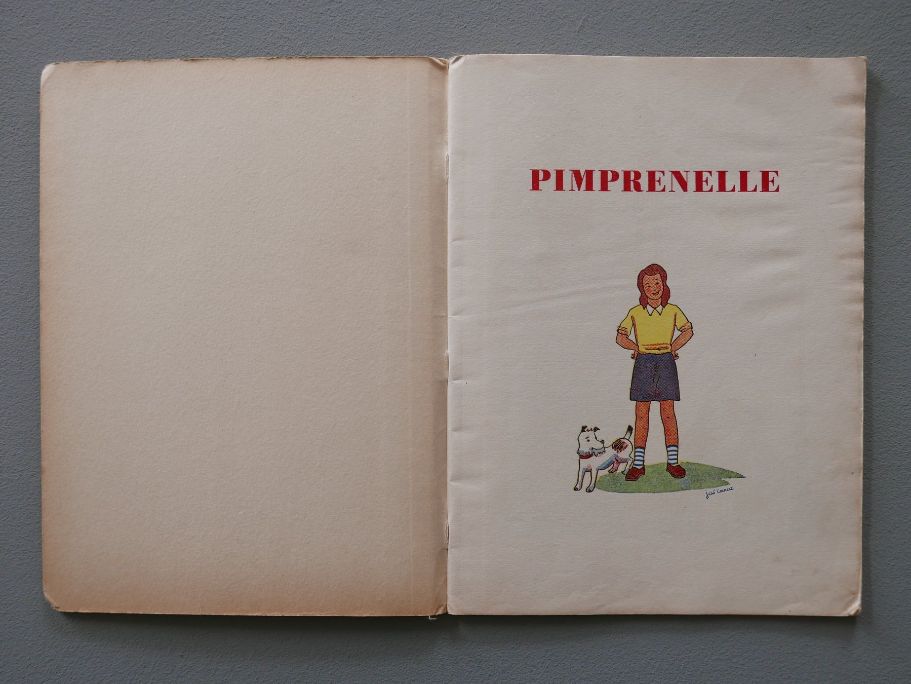 Bücher: ALTES KINDERBUCH PIMPRENELLE – Gebraucht aus Balgach von Zwischenraum 1