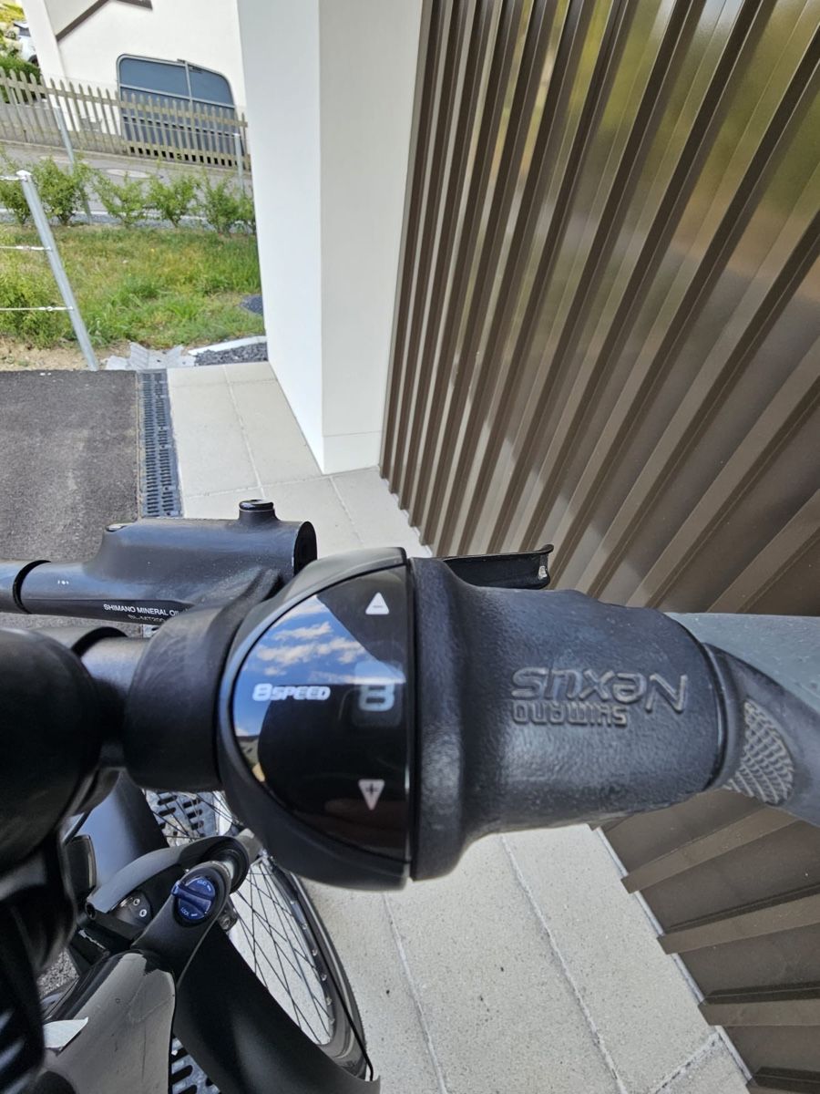 Flyer Biciclette: E-Bike Flyer – Usato da Bern venduto da ser_7vtn 6