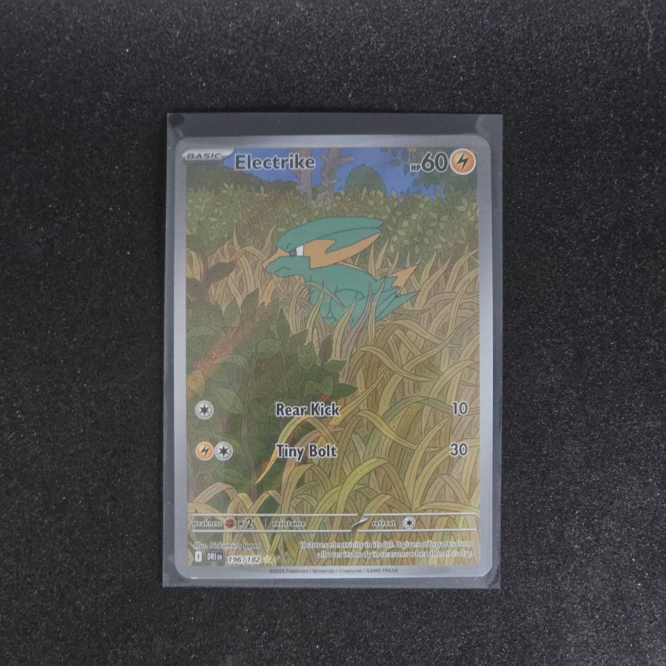 Pokémon Cartes à collectionner: Electrike (DRI 196) – Neuf (Voir description) à St. Gallen par CardZelo