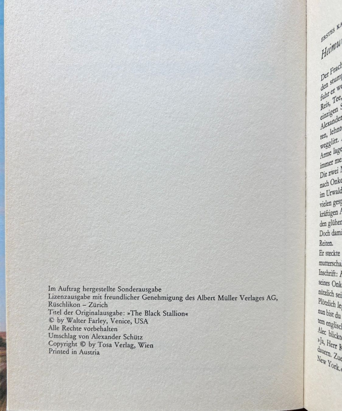 Libri: Blitz der schwarze Hengst – Nuovo (secondo la descrizione) da Sarnen venduto da Livres 2