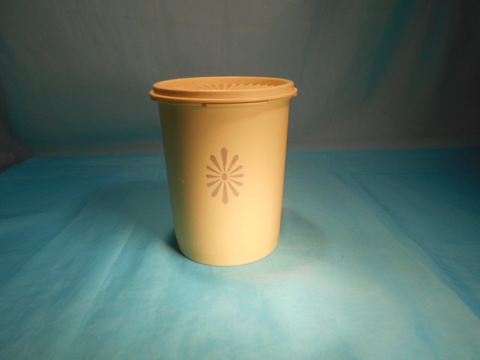 Tupperware Contenitori & Simili: Tupperware Behälter mit Sonnendeckel, Vintage – Usato da Bellach venduto da JingleCherry