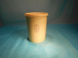Tupperware Behälter mit Sonnendeckel, Vintage