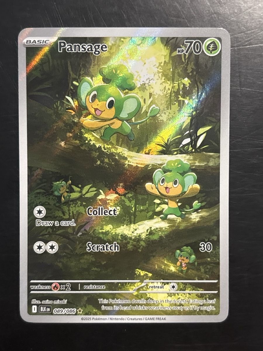 Pokémon Sammelbilder & Trading cards: Pansage - BLK 089 🇺🇸 – Gebraucht aus Delémont von mar_7ynr