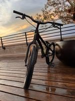 Street Trial Bike Inspired Flow 22" Magura MT4