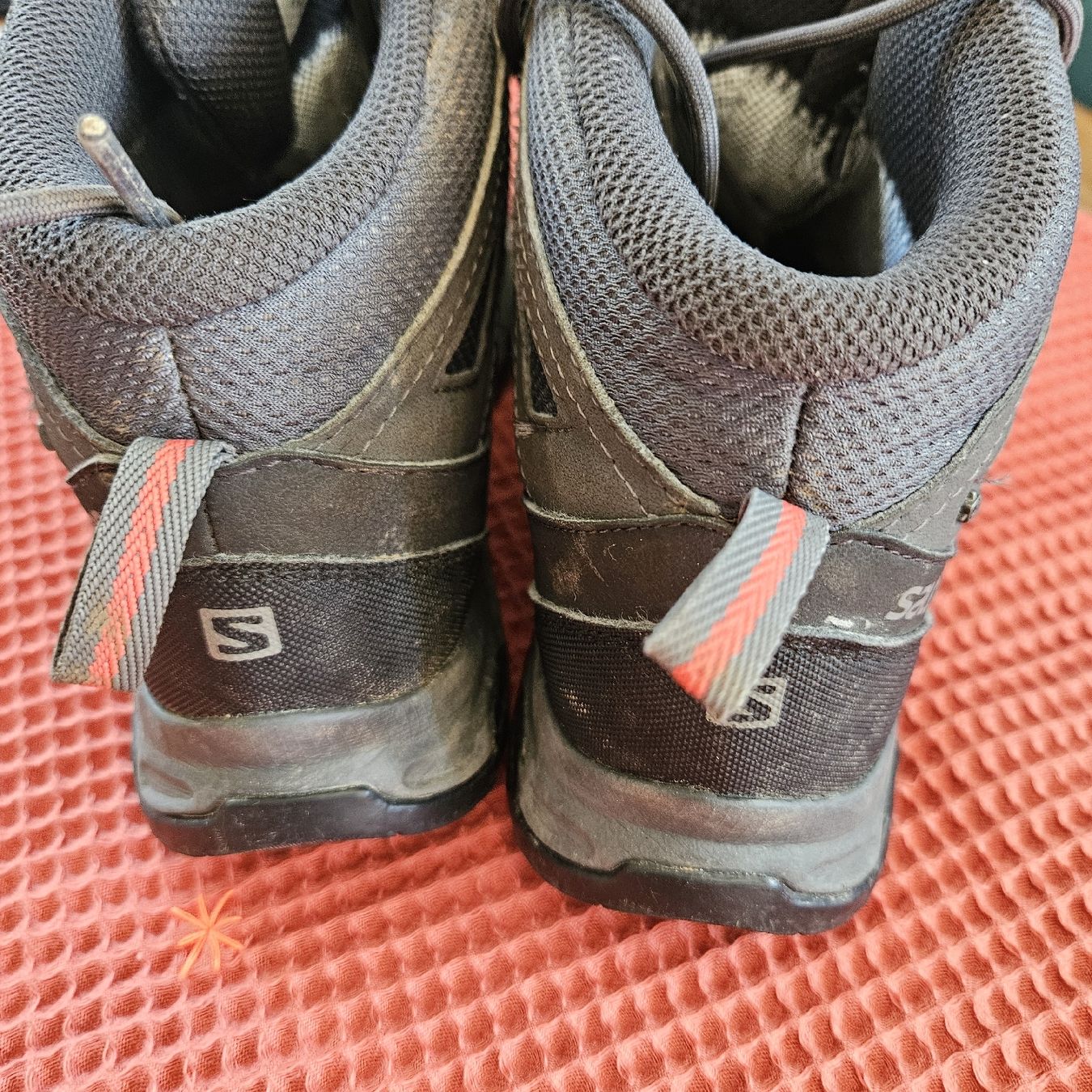 Salomon Scarpe da uomo: Salomon Wanderschuhe Gr. 38 – Nuovo (secondo la descrizione) da Herrliberg venduto da daki0017 3