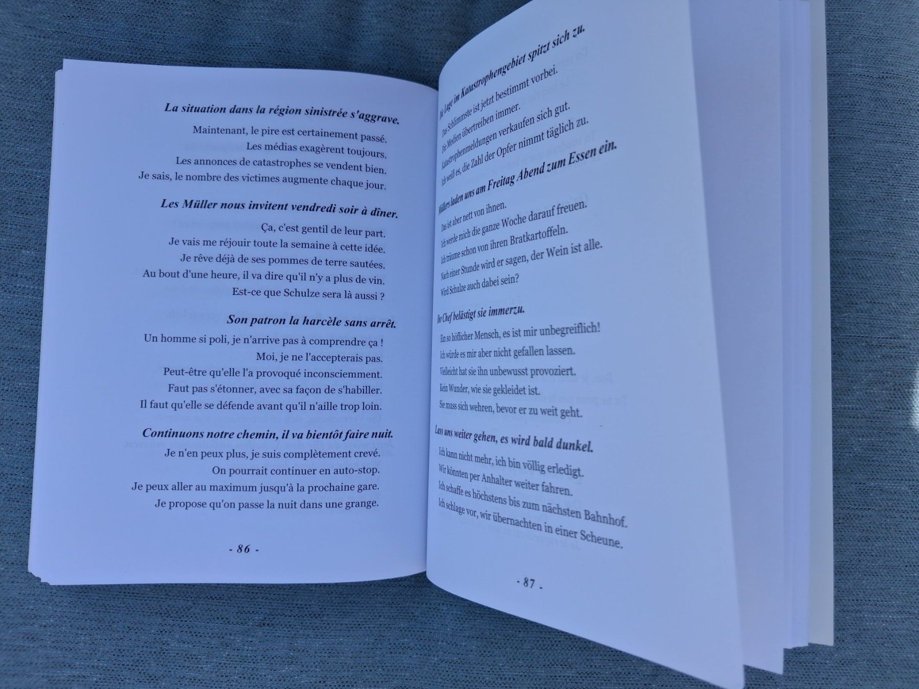 Libri: Allemand - réponse à tout - Ellipses – Usato da Fully venduto da Minouchka 2
