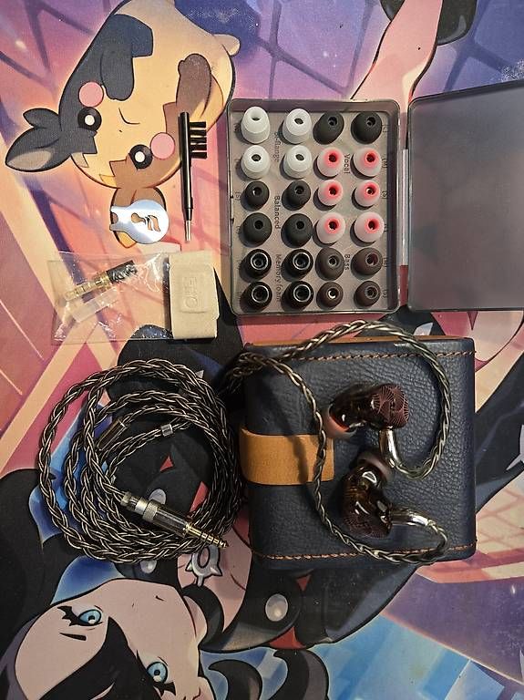 Cuffie: Casque intra-auriculaire Fiio FX15 – Usato da Satigny venduto da Gatoil 4