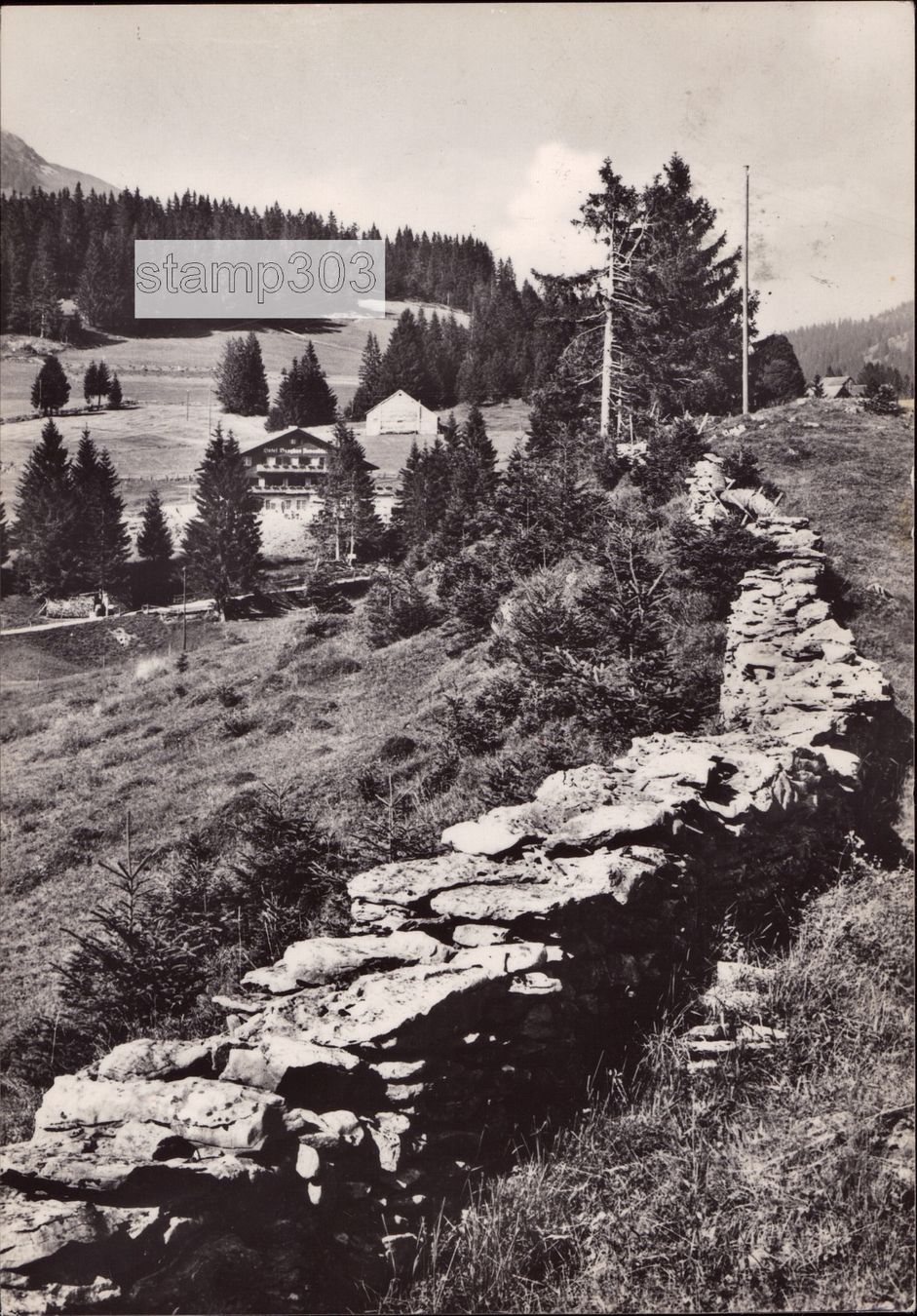 Cartoline postali: 1956 Amden - Hotel Berghus Arvenbüel – Usato da Eggersriet venduto da stamp303