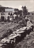1956 Amden - Hotel Berghus Arvenbüel