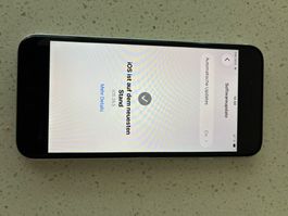 Iphone SE 2020 ab 1.- unversehrt Top Zustand