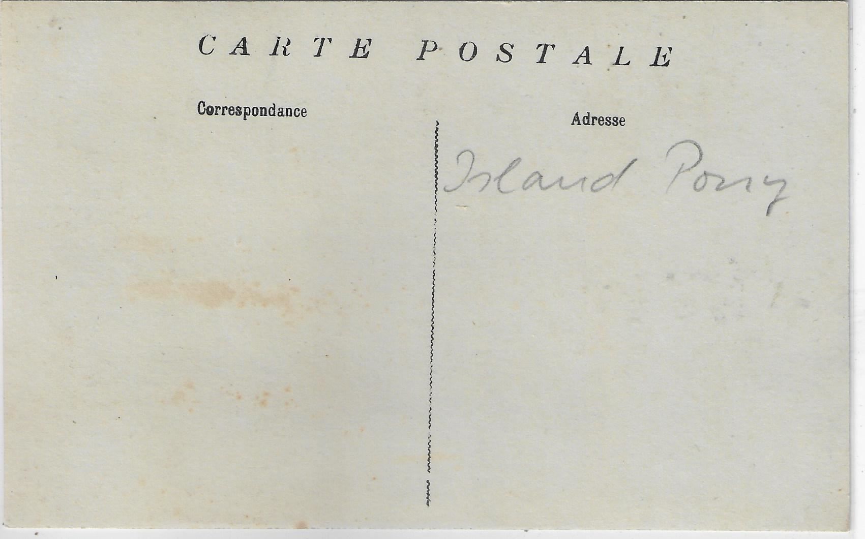 Cartes postales: Mädchen auf Island-Pony – D'occasion à Ettingen par Kartenplanet 1