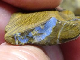 BOULDER ROH OPAL 26.50 Kt Gebot 1.- Elektisch Blau feuer