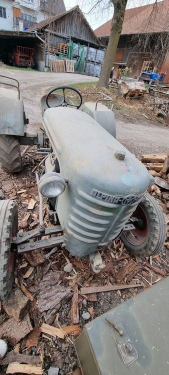 Scheunenfund Traktor Alpina Oekonom (Gebraucht) in Freidorf TG für CHF ...