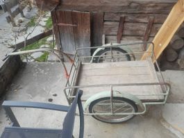 Massiver Velo Anhänger