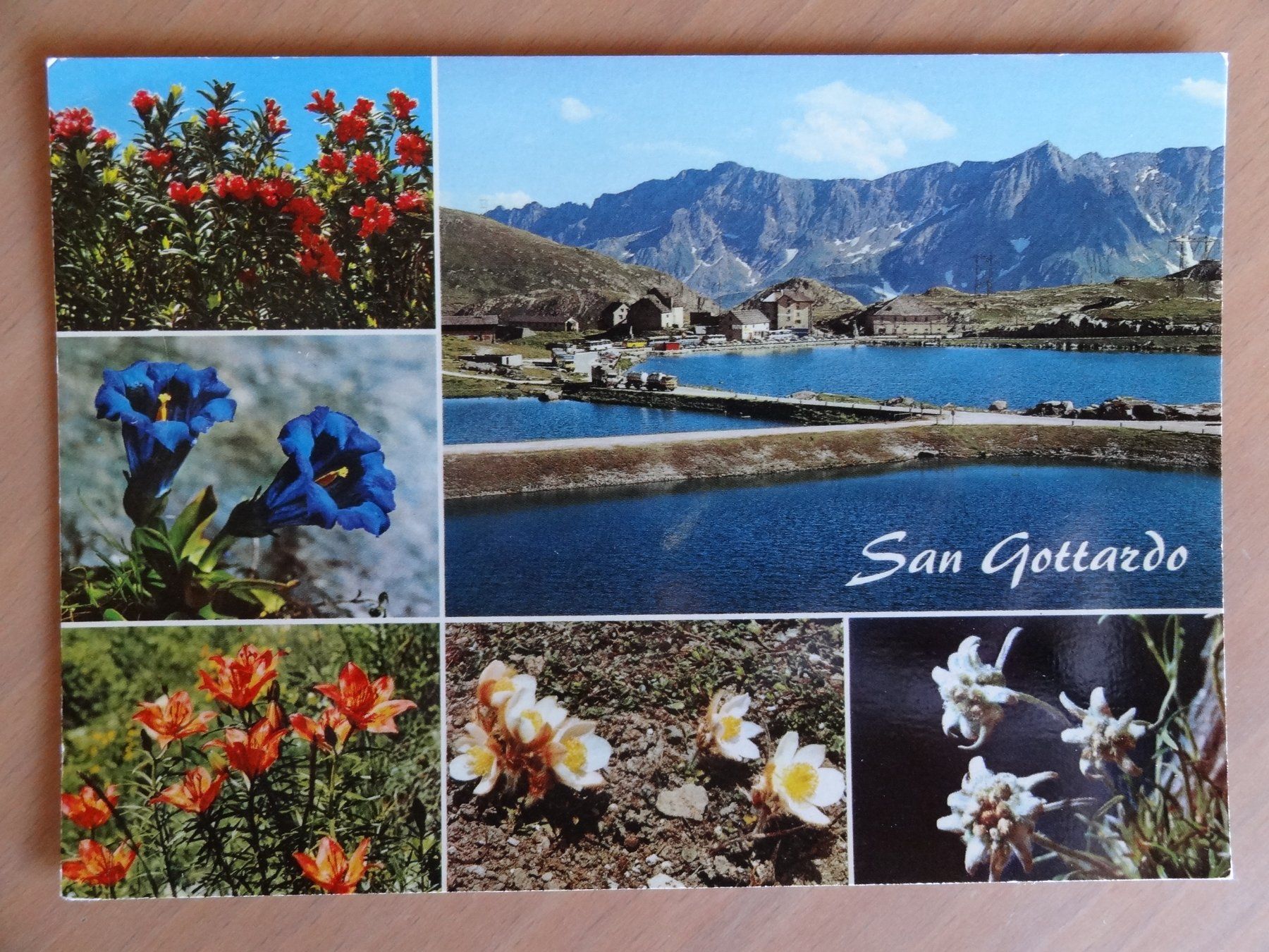 Cartoline postali: St. Gotthard - San Gottardo - 1977 – Usato da St Léonard venduto da Riglin