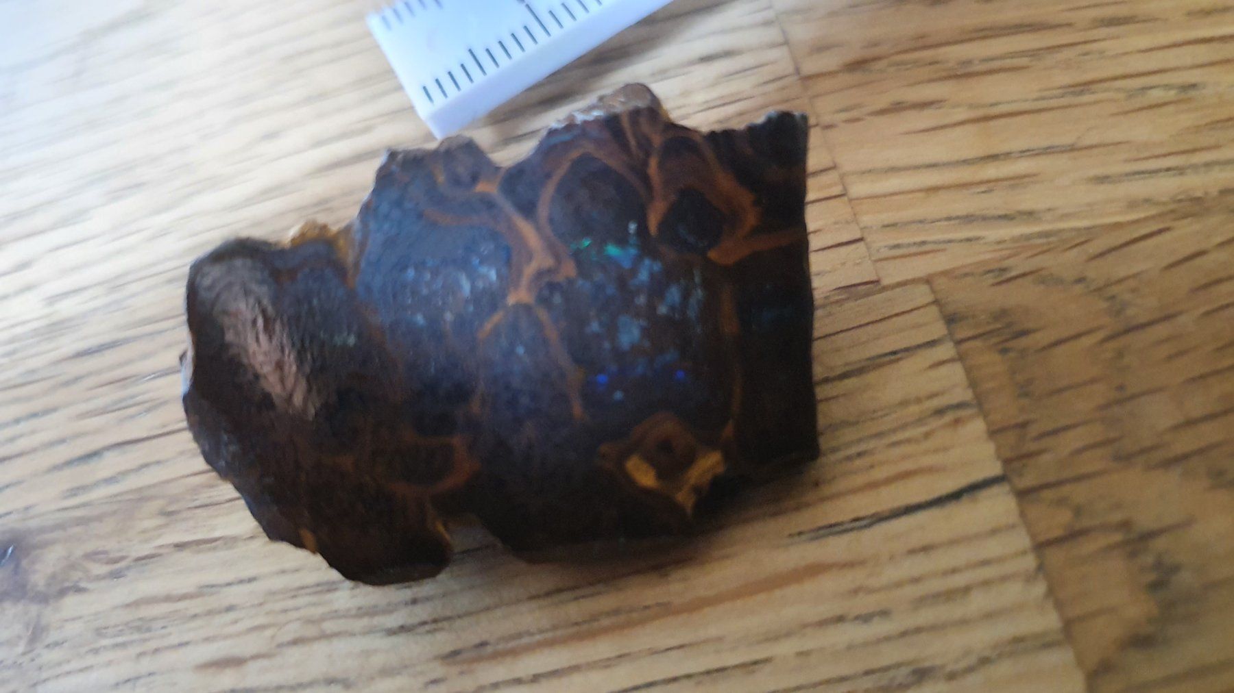 Edelsteine: Boulder Opal – Gebraucht aus Flawil von Naphtali 9