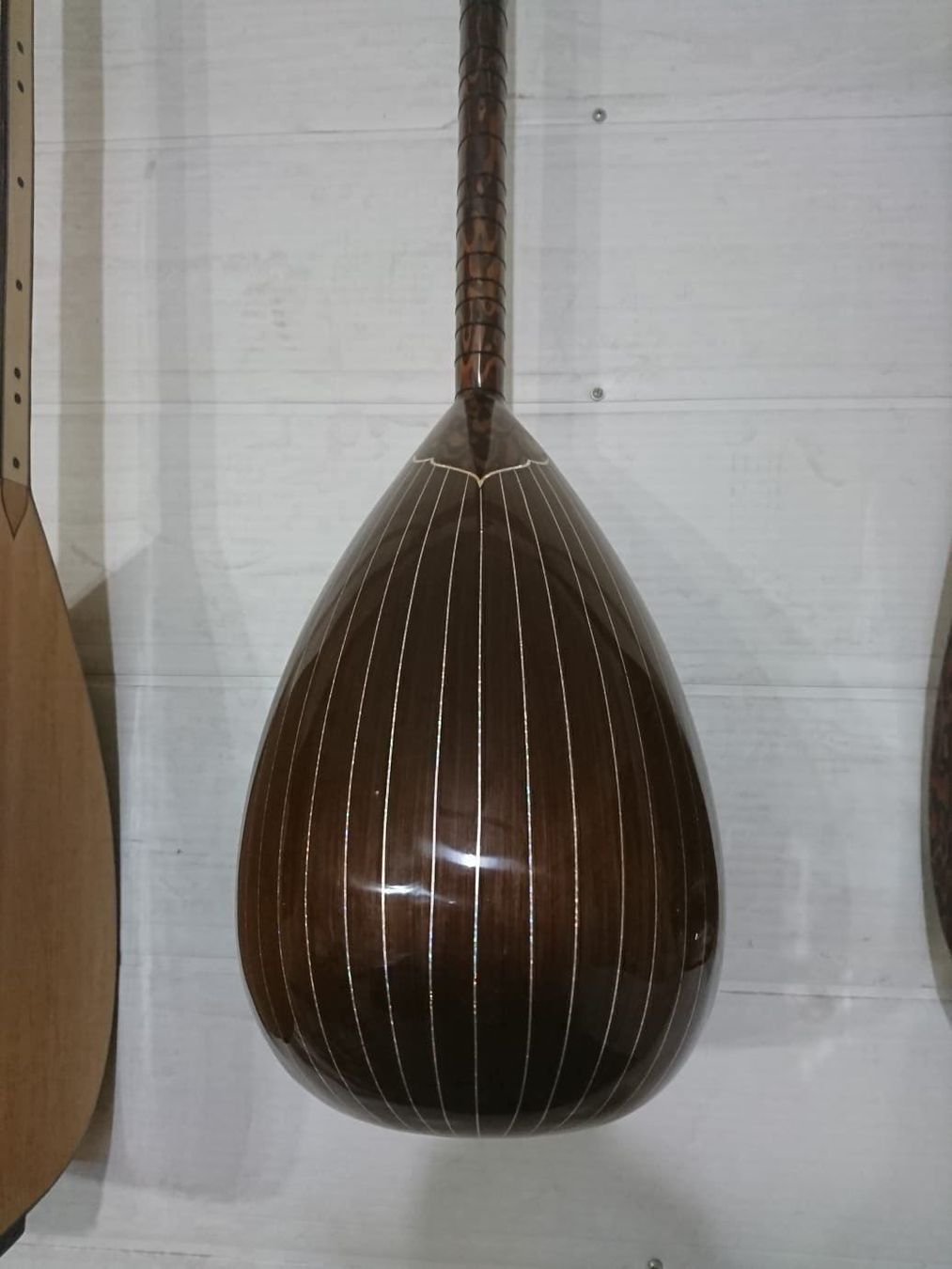 Strumenti musicali: Orginal Profi Necarman Elektro Baglama – Nuovo (secondo la descrizione) da Fahrwangen venduto da FairBleiben 6