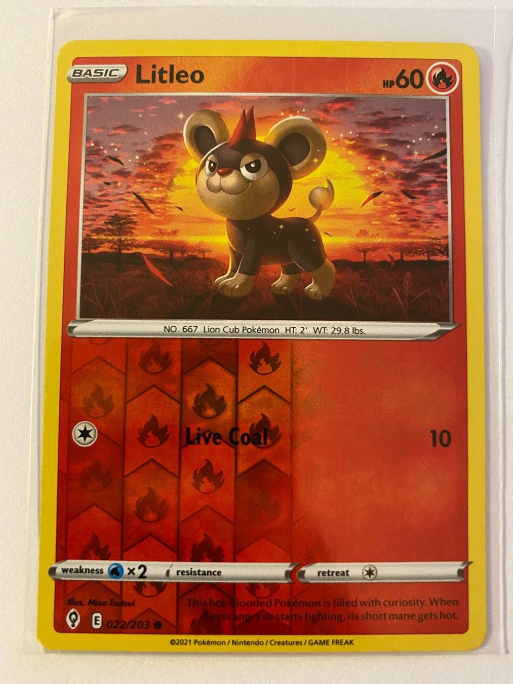 Pokémon Sammelbilder & Trading cards: Pokemon Litleo 022/203 Reverse Holo Evolving Skies EN – Neu (gemäss Beschreibung) aus Weingarten-Kalthäusern von McGmavlo