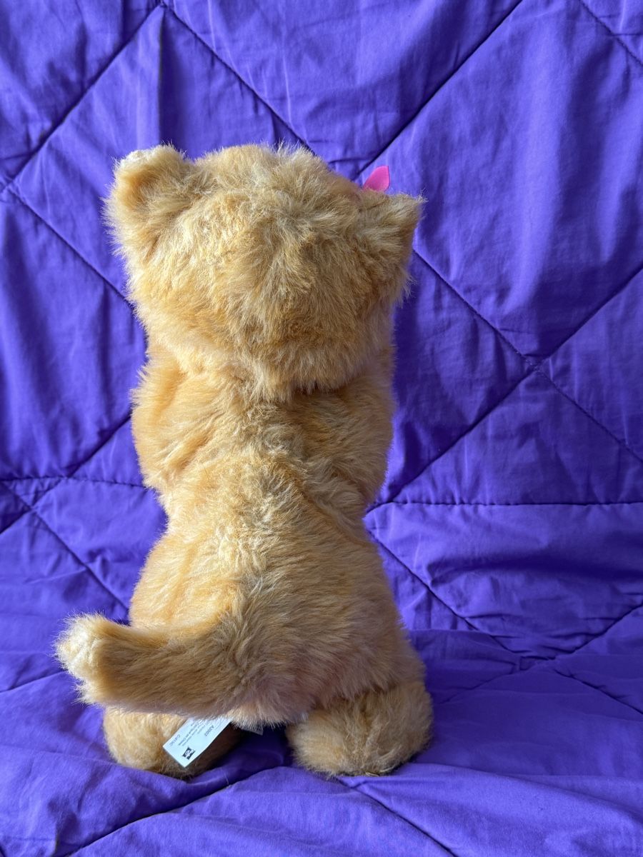 FurReal Spielzeuge: FurReal Katze – Gebraucht aus Bern von Zeiseli 1