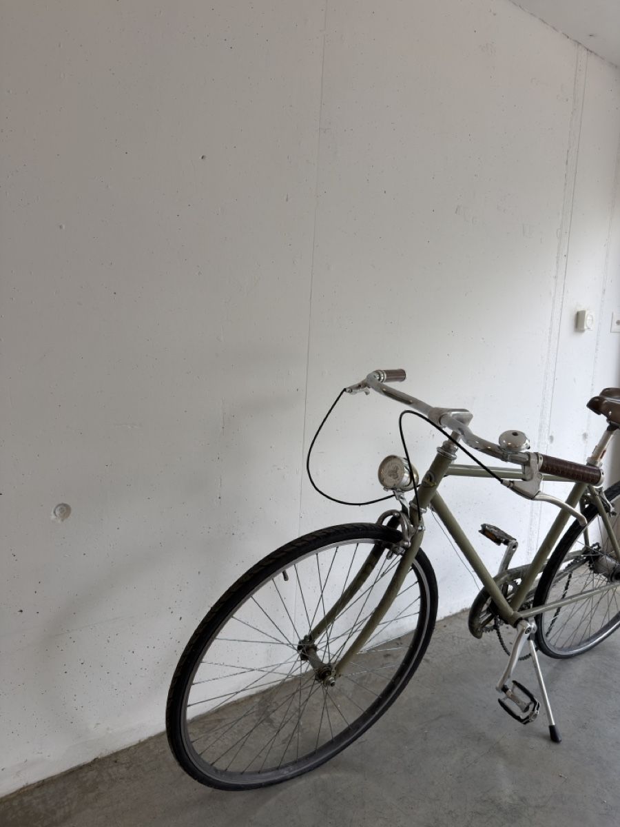 Biciclette: Vintage City Bike – Difettoso da Thalheim venduto da tabhuntch 1
