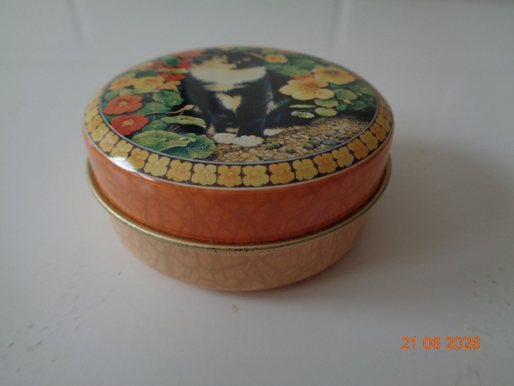 Altro in Decorazioni & Accessori: Kleine Blechdose Katze, 6.5 x 3 cm, Neu – Nuovo (secondo la descrizione) da Wiesendangen venduto da Gullfoss 3