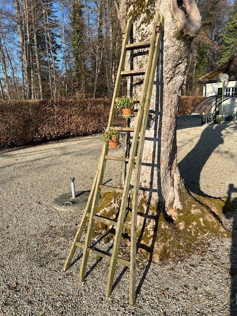 Scale: Schöne, alte Holzleiter – Usato da Winterthur venduto da woodenhiller68 7