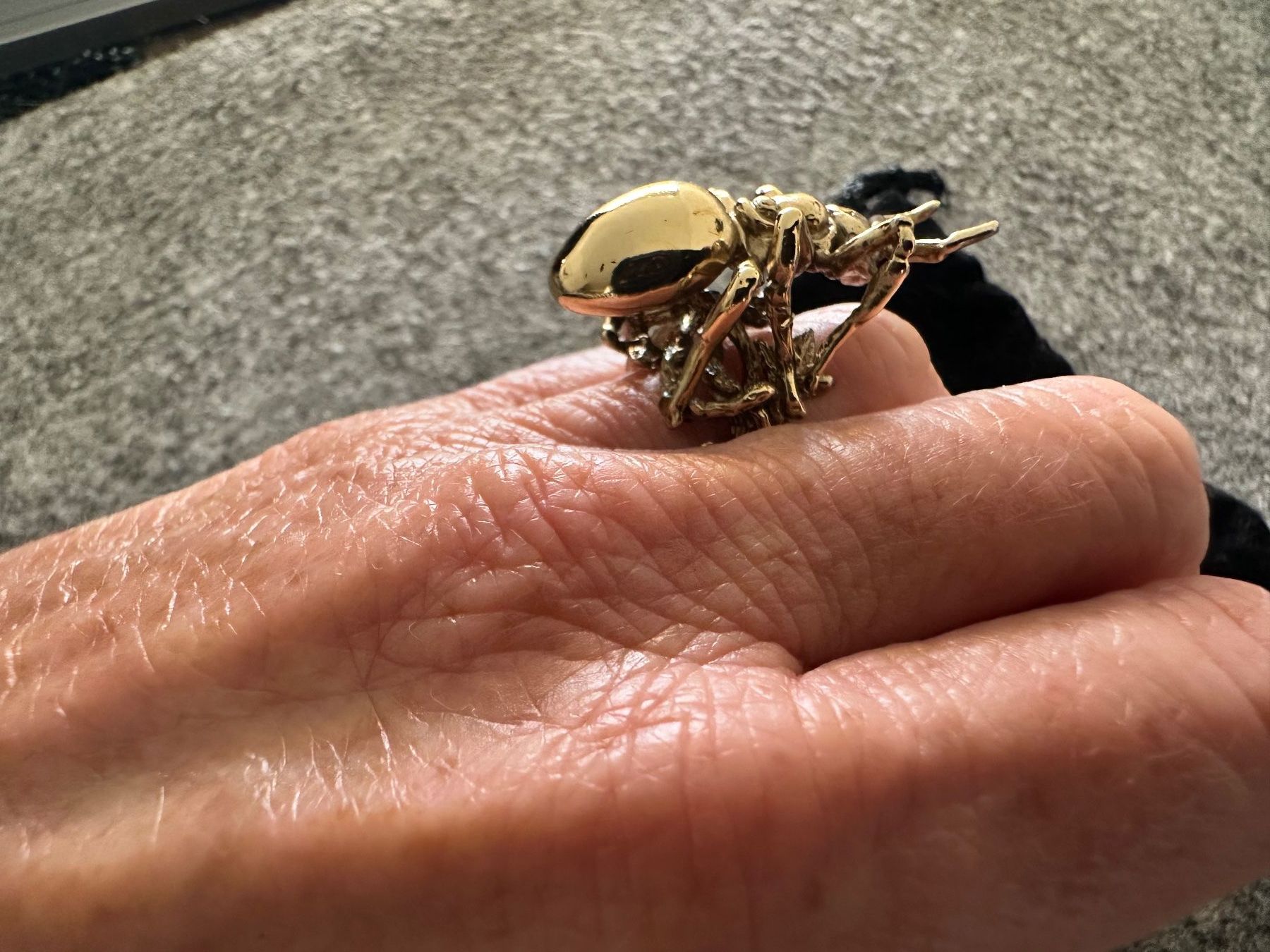 Anelli: BERNARD DELETTREZ very rare bronze ant ring – Nuovo (secondo la descrizione) da Lausanne venduto da kuroneko86 4