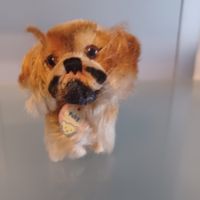 Winzling von Steiff Hund Pekinese 8 cm gross um 1950