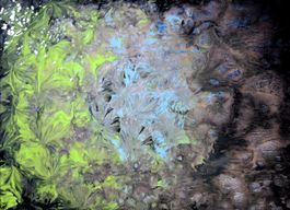NEU! Fluid-Akryl Malerei 48 x 30 cm Künstler: POSITIFF ART