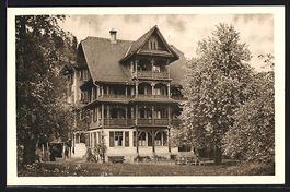 AK Risch am Zugersee, Kurhaus Waldheim