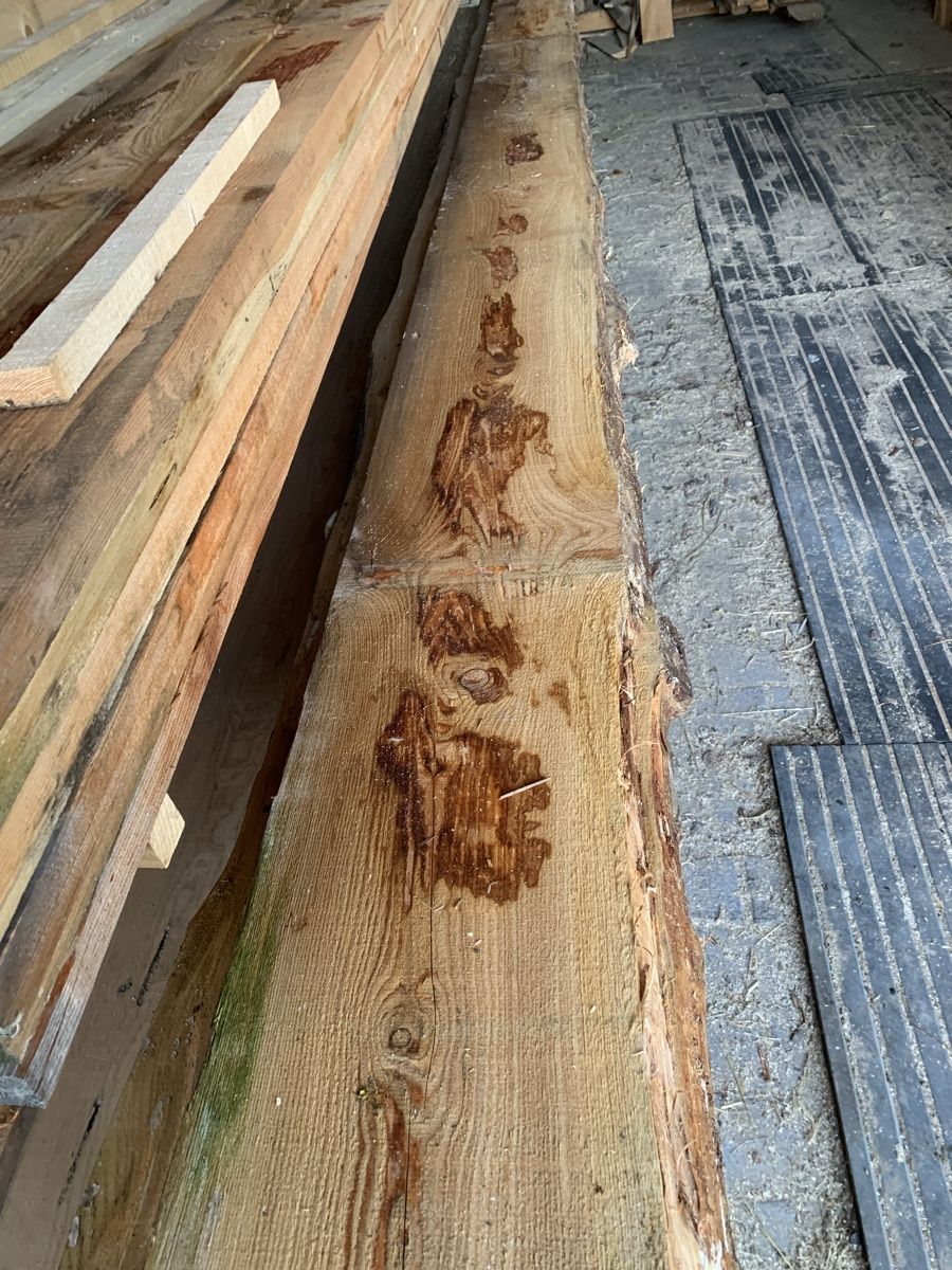 Articoli in legno: Lärchenholz, Garten-Holz, oder für sonstiges – Nuovo (secondo la descrizione) da Winden venduto da EmilNeu 6