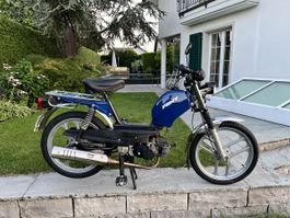 Pony Gtx 521 