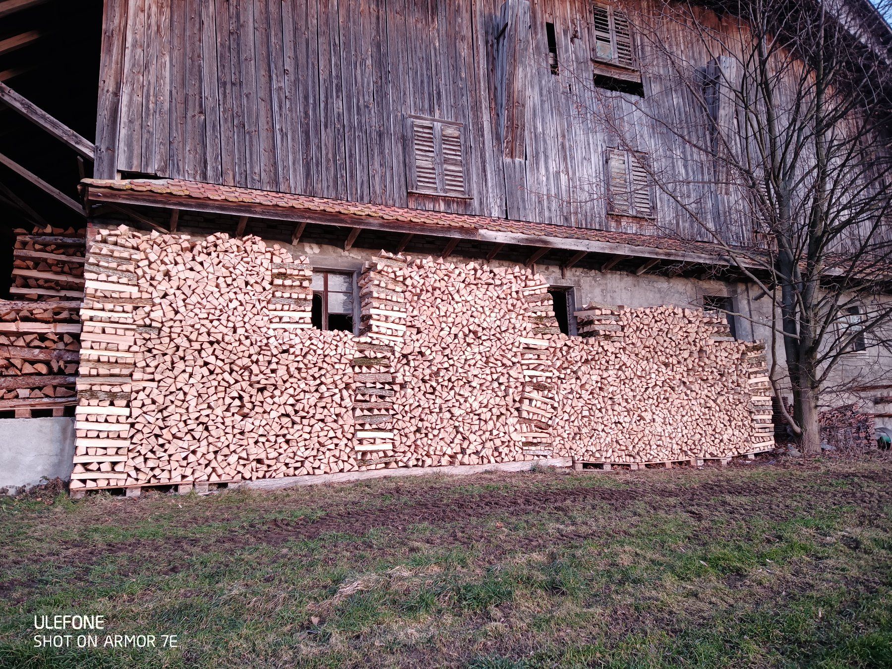 Articoli in legno: Brennholz Esche – Nuovo e nell'imballaggio originale da Entlebuch venduto da Muesli05 2