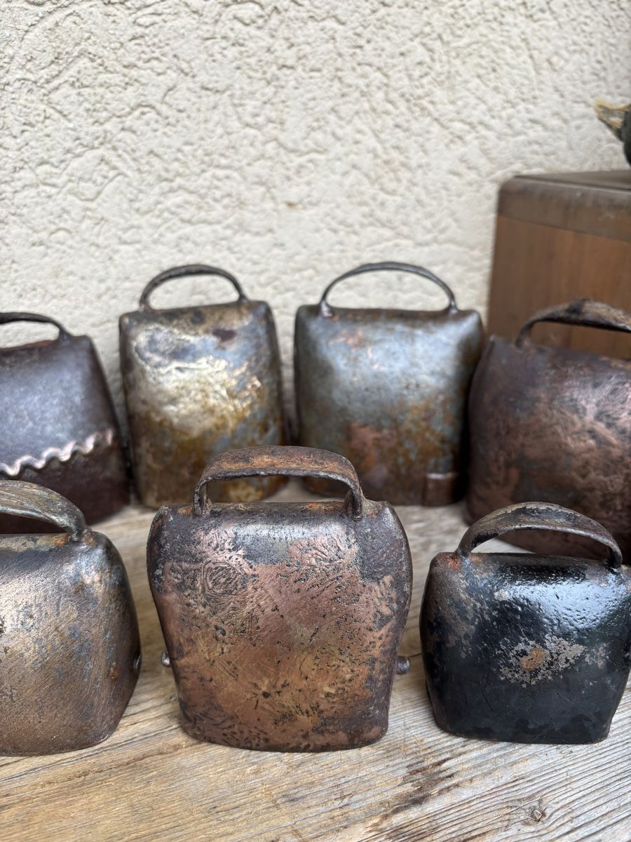 Campanacci mucche: 10 Alte Treicheli – Usato da Schangnau venduto da Roseggli82 3