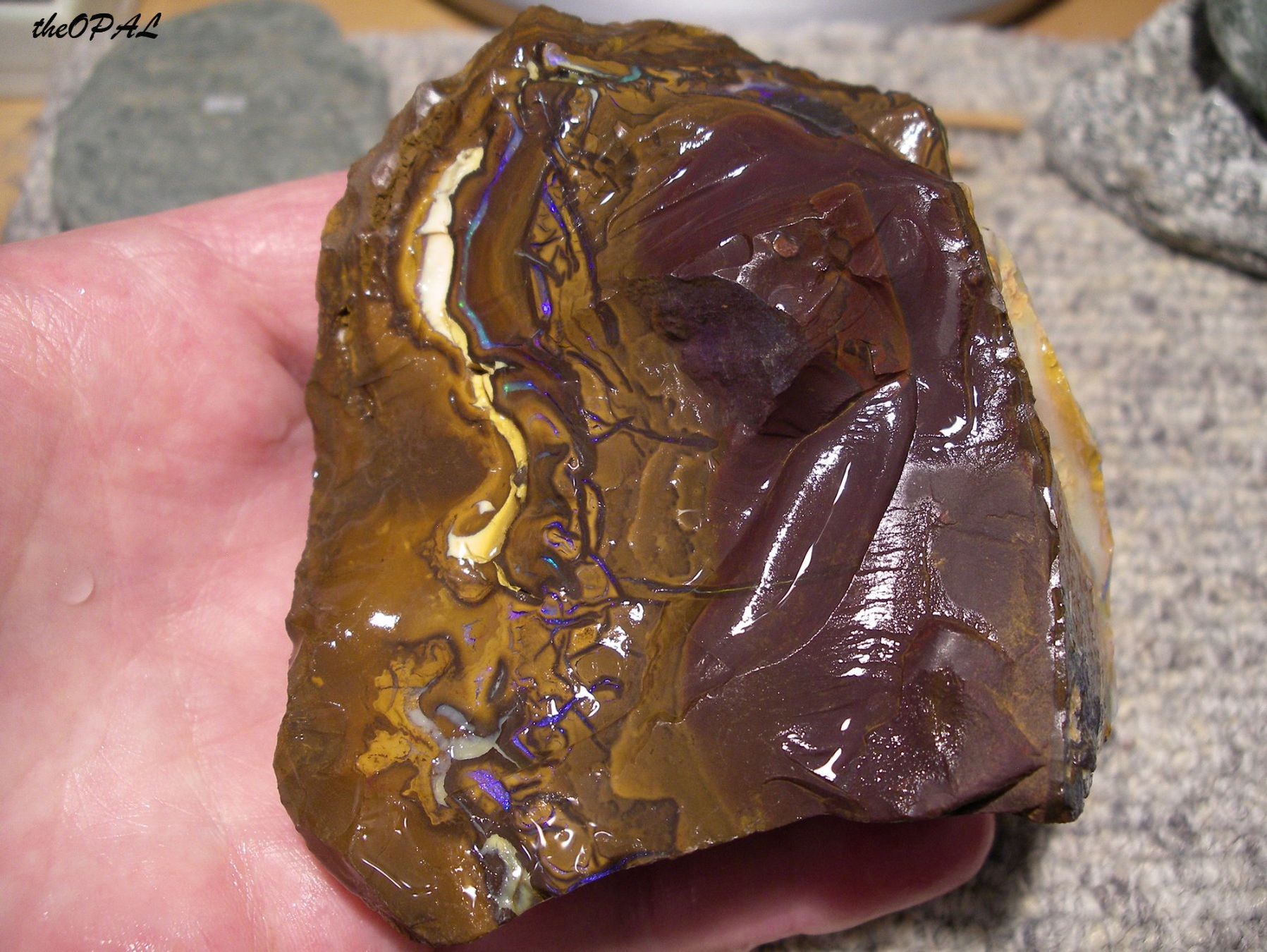 Minéraux & Lithothérapie: theOPAL*** GROSSER ROHER BOULDER MATRIX NUSS OPAL 2540ct *** – Neuf avec emballage d'origine à Ebnat-Kappel par theOPAL
