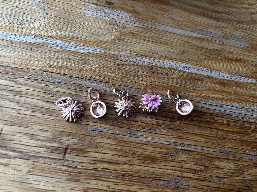 Pandora Anhänger: set aus 5 pandora anhänger – Neu (gemäss Beschreibung) aus flims dorf von schmetterling61281 2