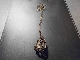 Kette broncefarbig, Vogelkäfig