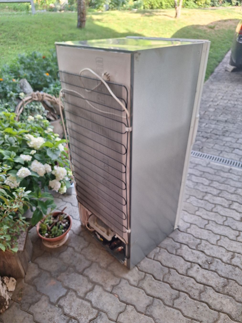 Electrolux Frigoriferi: Kühlschrank Electrolux – Usato da Uetendorf venduto da Albi125 2