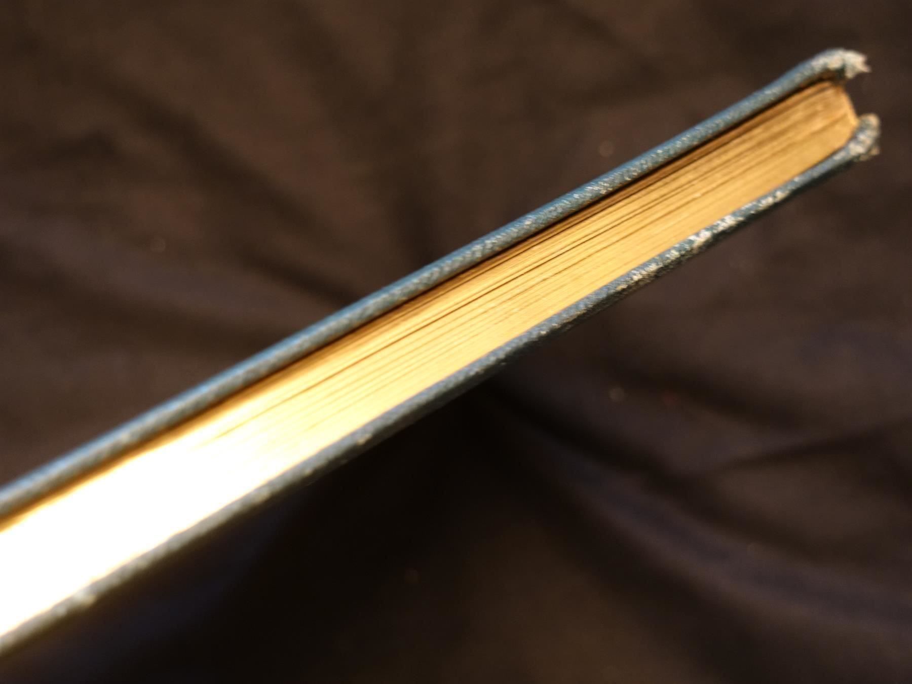 Libri: Immensee Theodor Storm 1887 – Usato da Gutenswil venduto da Optico 8