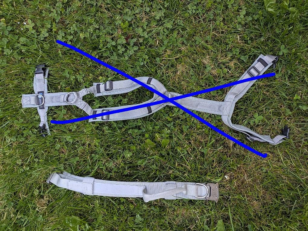 Leine & Halsband: Hunde-Halsband breit – Gebraucht aus Wetzikon ZH von Pa.Re