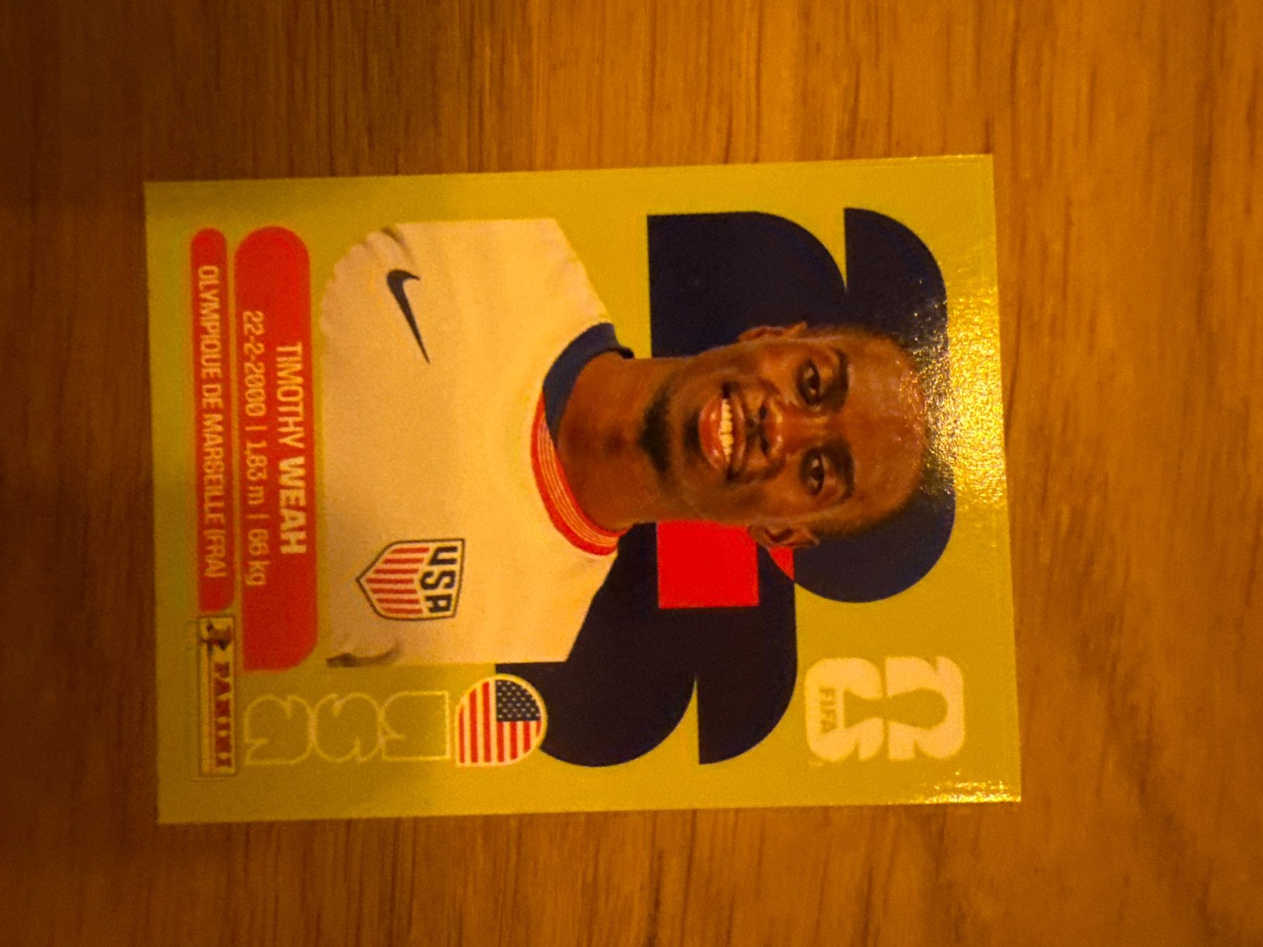 Panini Carte collezionabili: Panini – Usato da Langnau i. E. venduto da Acrjl
