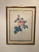 Gerahmte botanische Drucke Rose 3er Set guter Zustand