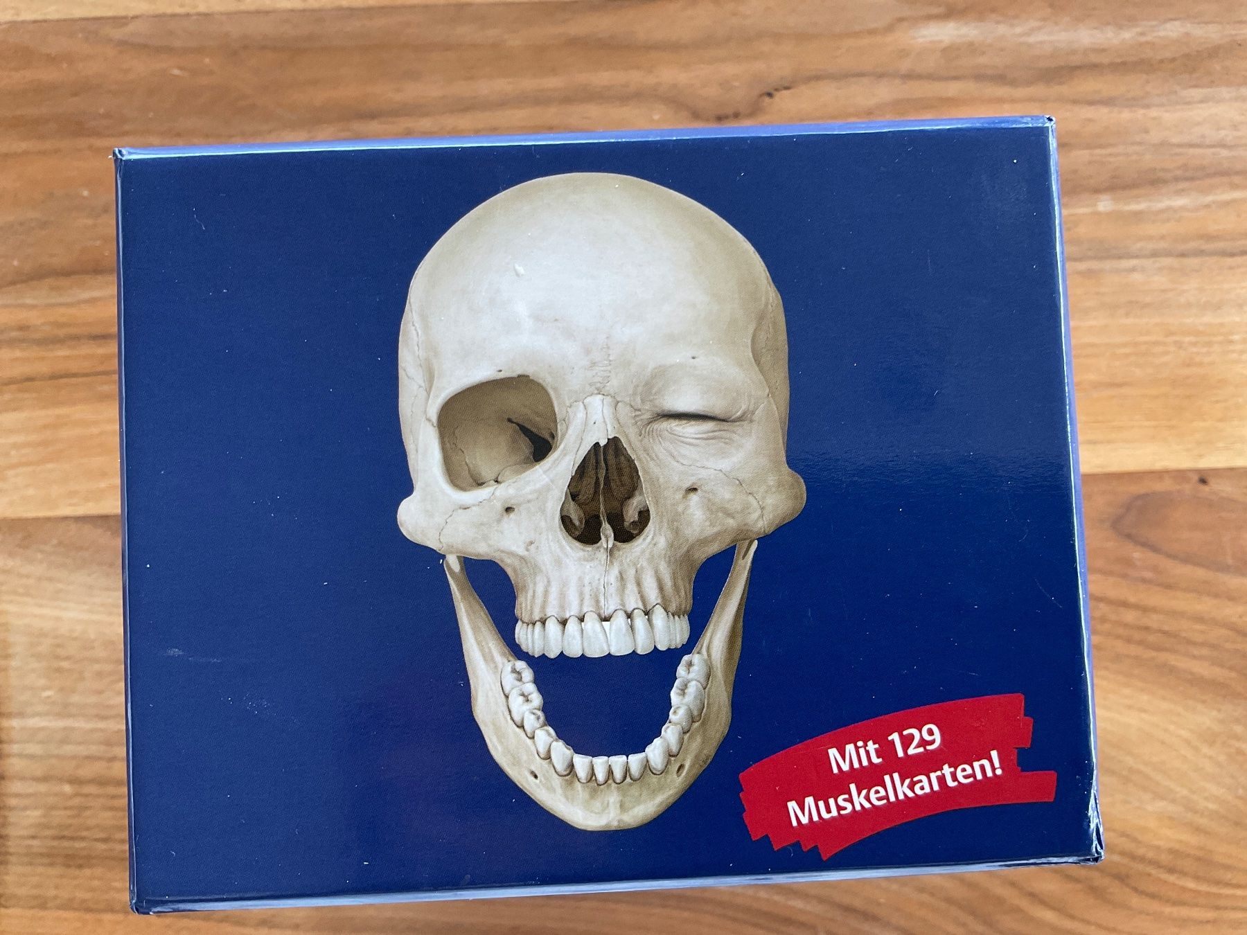 Sonstiger Schulbedarf: Anatomie Lernkarten von Thieme – Gebraucht aus Oberuzwil von Harrison1 2