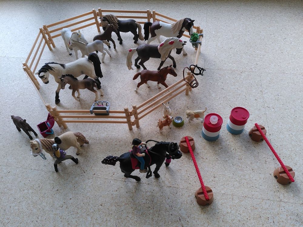  Kaufen auf Ricardo Bildidee 