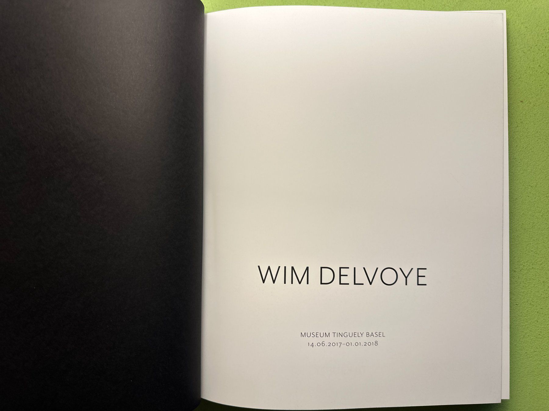 Libri: Wim Delvoye. Museum Tinguely Basel 2017 – Usato da Zürich venduto da allp 1