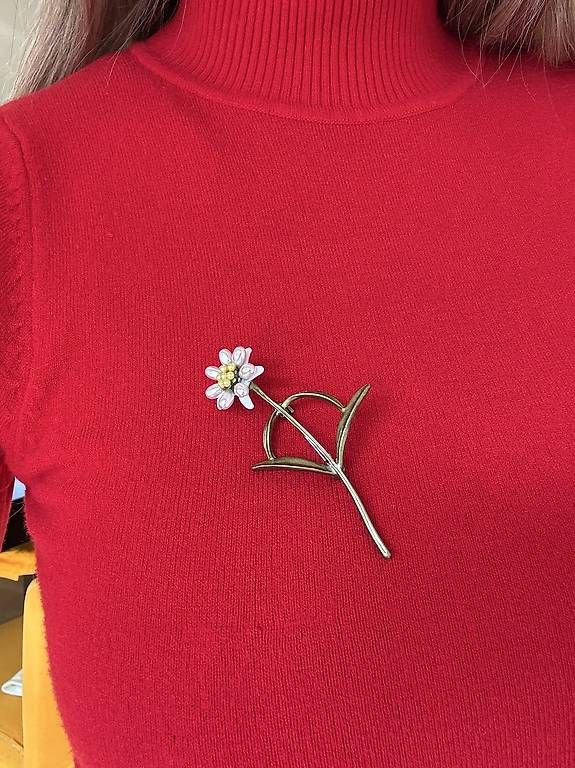 Spille & Fermagli: Edelweiss Brosche elegant filigran Alpen Stil – Usato da Thalwil venduto da han_2b8c 6